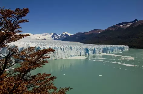 Le glacier Perito Moreno - Argentine