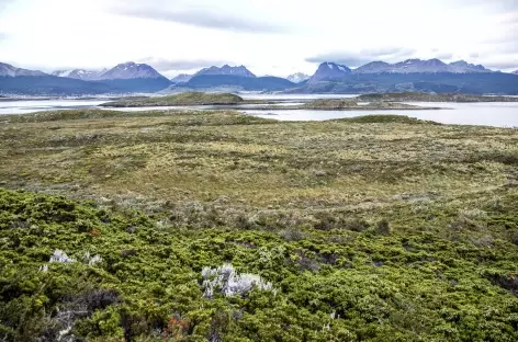 Dans le parc national de Lapataia - Argentine