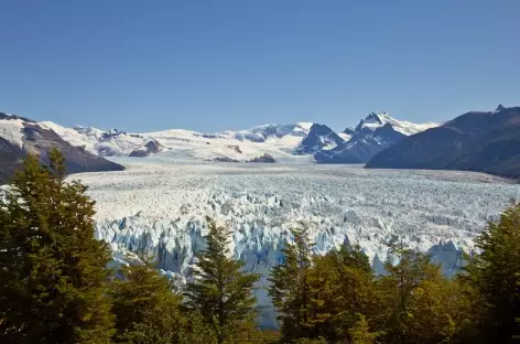 Le glacier Perito Moreno - Argentine