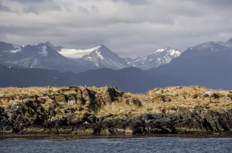 Ushuaia, navigation dans le canal de Beagle - Argentine