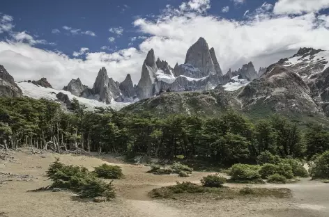 Parc national des Glaciers, montée vers la laguna de los Tres - Argentine