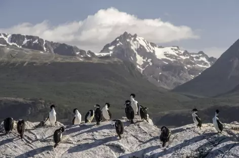 Ushuaia, navigation dans le canal de Beagle - Argentine