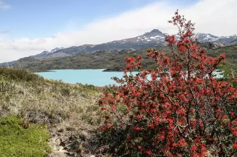 Parc national Torres del Paine, le lac Pehoe - Chili