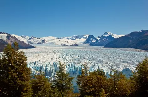 Le glacier Perito Moreno - Argentine