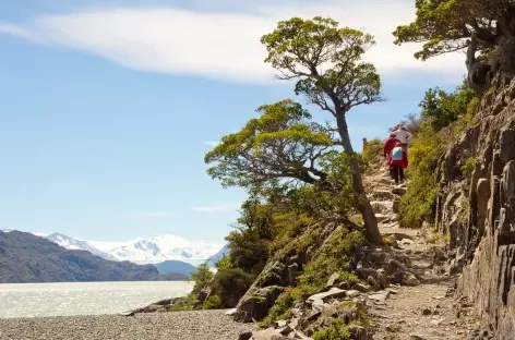 Marche au bord du lac Grey - Argentine