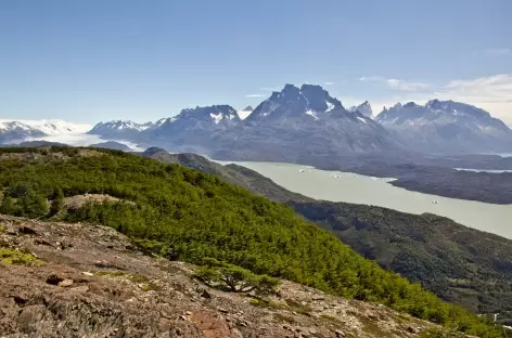 Vue sur le lac Grey depuis le mirador Ferrier - Chili