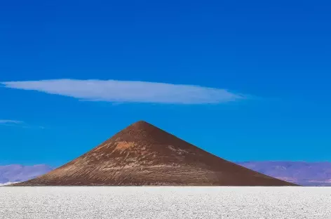 Le salar d'Arizaro et le cône d'Arita - Argentine - 