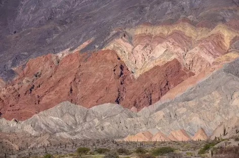 Paysage à l'approche de Salta - Argentine - 