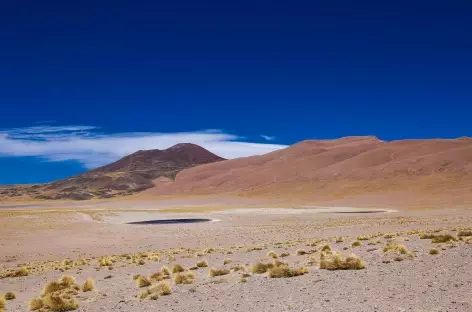 Au coeur de la puna - Argentine