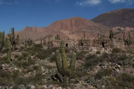 Site archéologique de Tilcara - Argentine - 