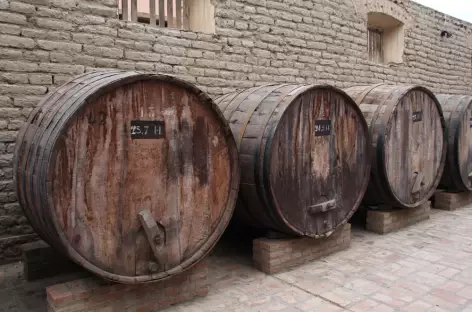 Visite-dégustation dans une bodega - Argentine - 