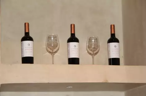 Visite-dégustation dans une bodega - Argentine - 