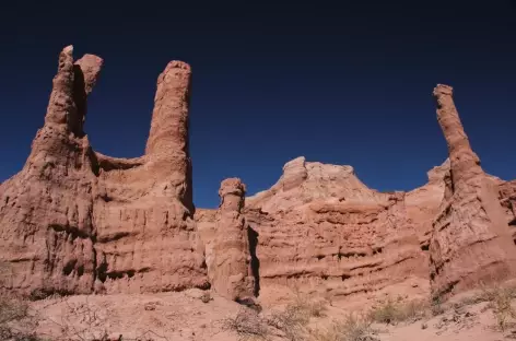 Merveille géologique de la quebrada de las Conchas - Argentine - 
