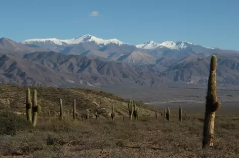 Le parc national Los Cardones et les Nevados de Cachi