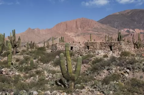 Site archéologique de Tilcara - Argentine