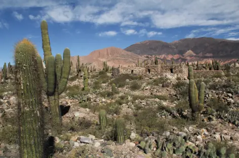 Site archéologique de Tilcara - Argentine - 