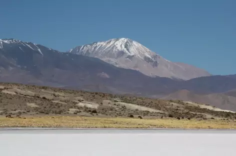 Salar Salinas Grandes - Argentine