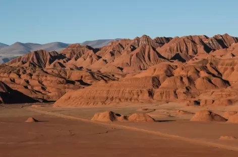 Dans la Puna - Argentine