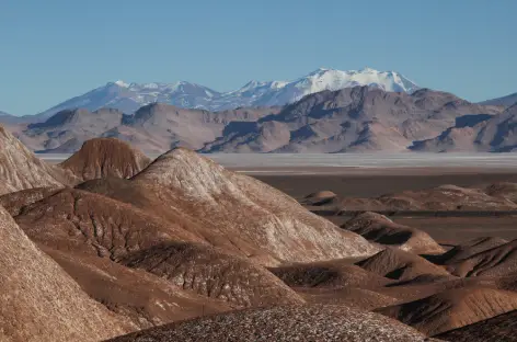 Dans la Puna - Argentine - 