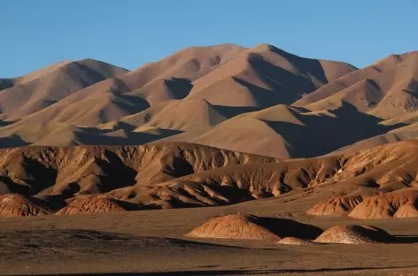 Dans la Puna - Argentine