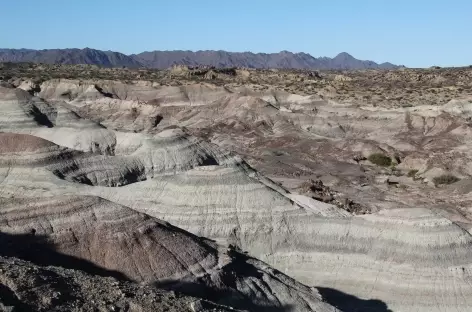 Argentine, Parc National d'Ischingalasto