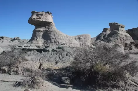 Argentine, Parc National d'Ischingalasto