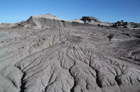 Argentine, Parc National d'Ischingalasto