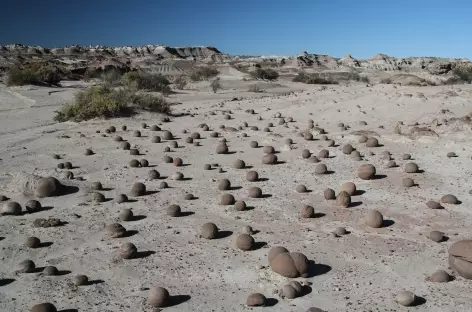 Argentine, Parc National d'Ischingalasto