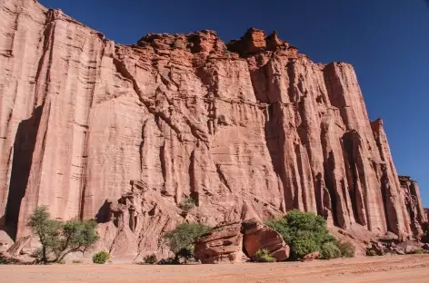 Argentine, Parc National de Talampaya - 