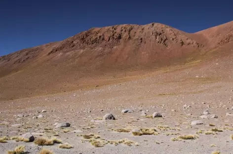 Argentine, paysage dans la Puna