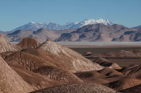 Argentine, paysage de Puna