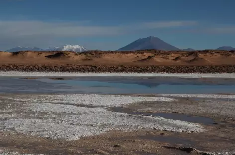 Argentine, paysage de Puna - 