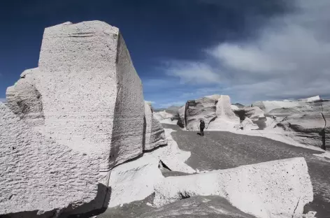 Argentine, Campo de Piedra Pomez dans la Puna