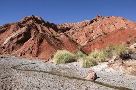 Argentine, balade dans la gorge d'Acsibi