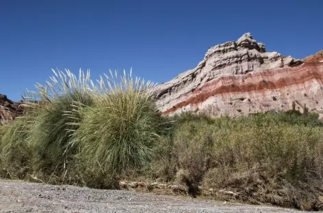 Argentine, balade dans la gorge d'Acsibi - 