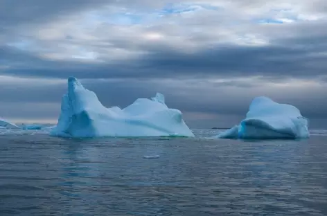 Iceberg