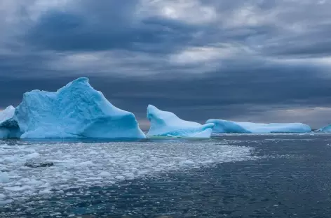Iceberg