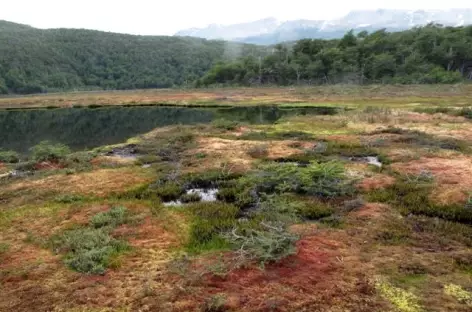 Ushuaia, baie de Lapataia