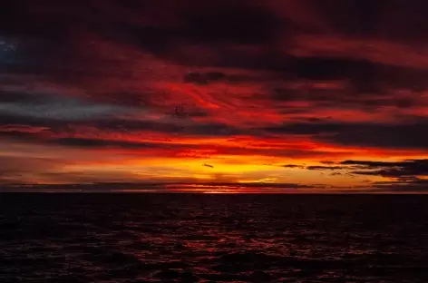 Lumières du Grand Sud
