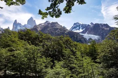 Chalten Laguna de los Tres