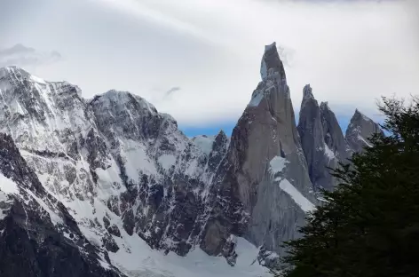 Trek Laguna Torre