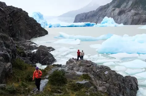Randonnée glacier Grey