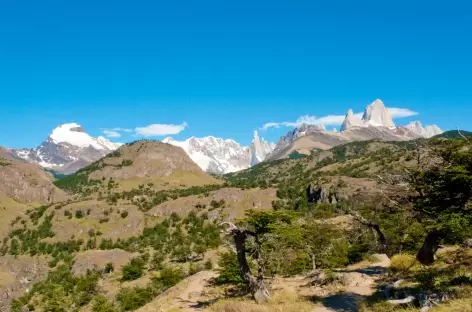Parc national des Glaciers, balade vers le Cerro Torre - Argentine