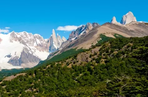 Parc national des Glaciers, balade vers le Cerro Torre - Argentine