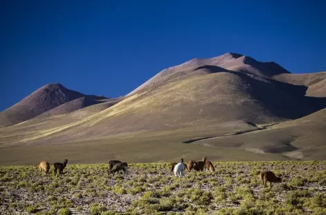 Lumière dans le sud Lipez - Bolivie