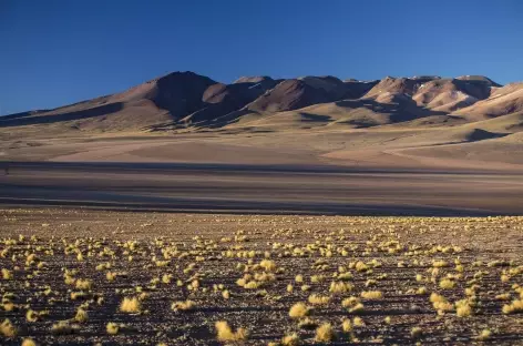 Lumière dans le sud Lipez - Bolivie