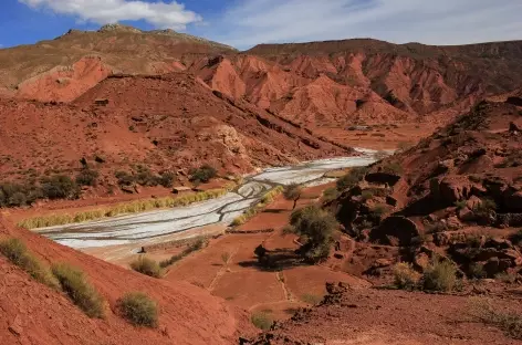 Entre Tupiza et Samawa - Bolivie