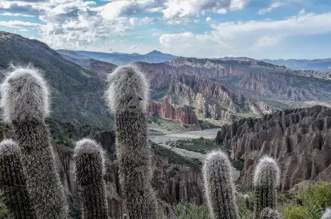 A l'approche de Tupiza - Bolivie - 