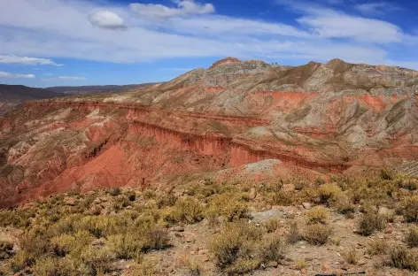 Entre Tupiza et Samawa - Bolivie