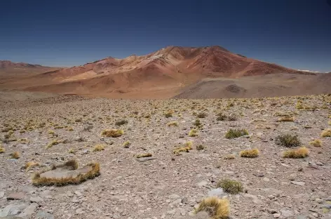 A l'approche de Quetena - Bolivie